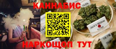 сатива Кандалакша