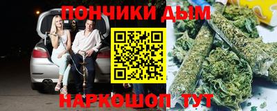 сатива Кандалакша