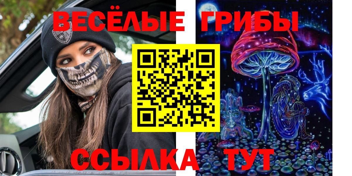 Галлюциногенные грибы Psilocybe Кувандык