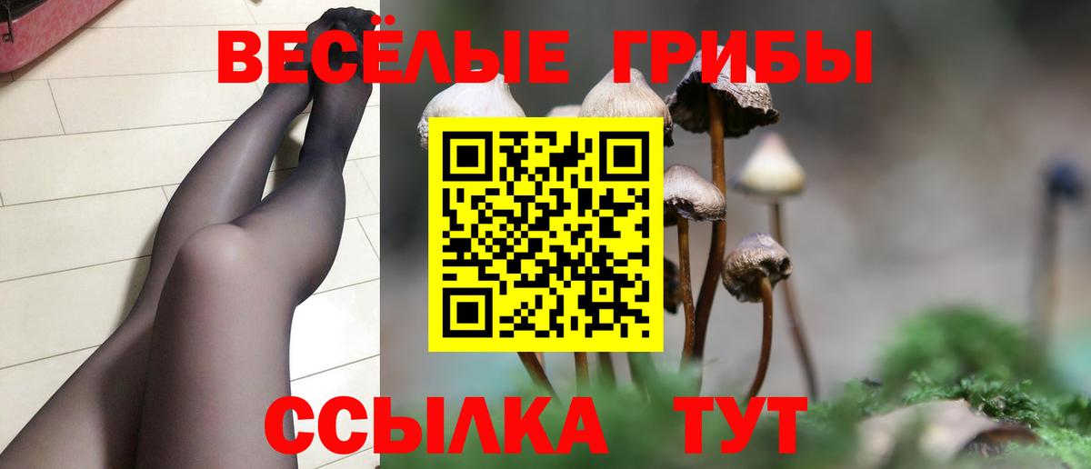 купить наркотик  Вход с VPN  Кувандык  Галлюциногенные грибы ЛСД 