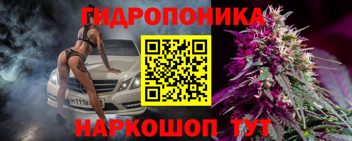 Конопля AK-47 Кувандык